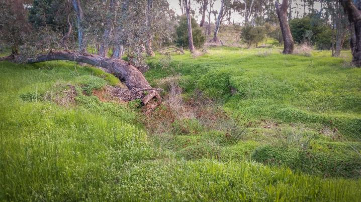 20170528 20170528 145911 