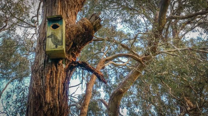 20170528 20170528 150025 