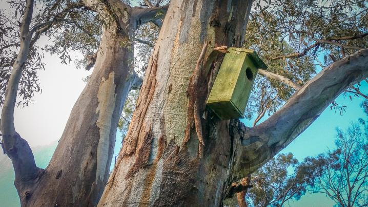 20170528 20170528 150102 