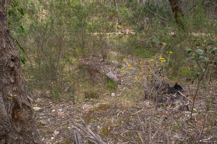 20201105 dsc 2319 