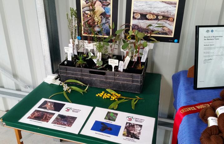 20170908 101118   copy 