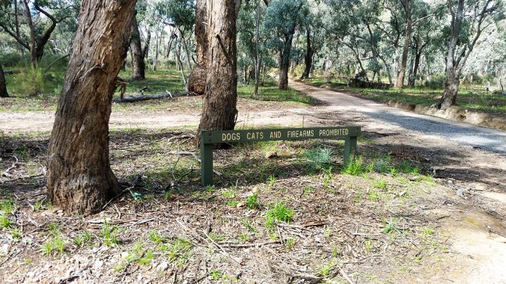 20170908 121137