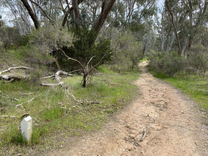 Ed81b4c4 a168 4b07 a9f3 80f3acb3e657 