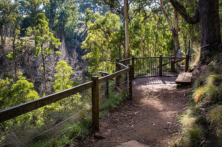 Trentham Falls Lookout 