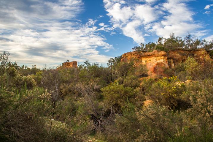 20200728 dsc 1622 