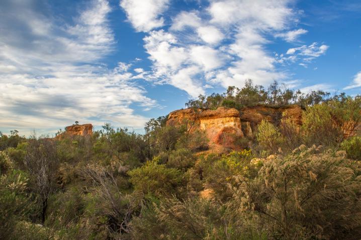 20200728 dsc 1626 