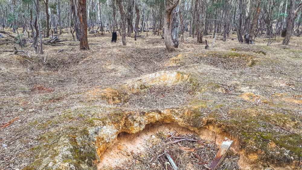 The best places to find gold in Victoria