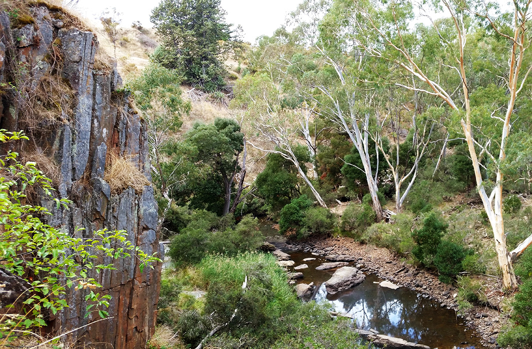 Vaughan Springs Goldfields Guide