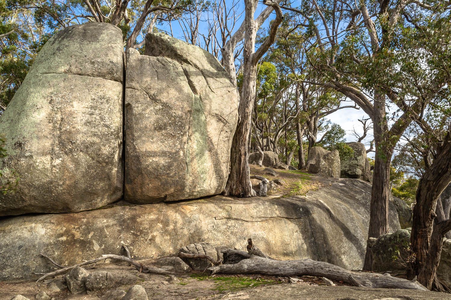 Dog Rocks Goldfields Guide