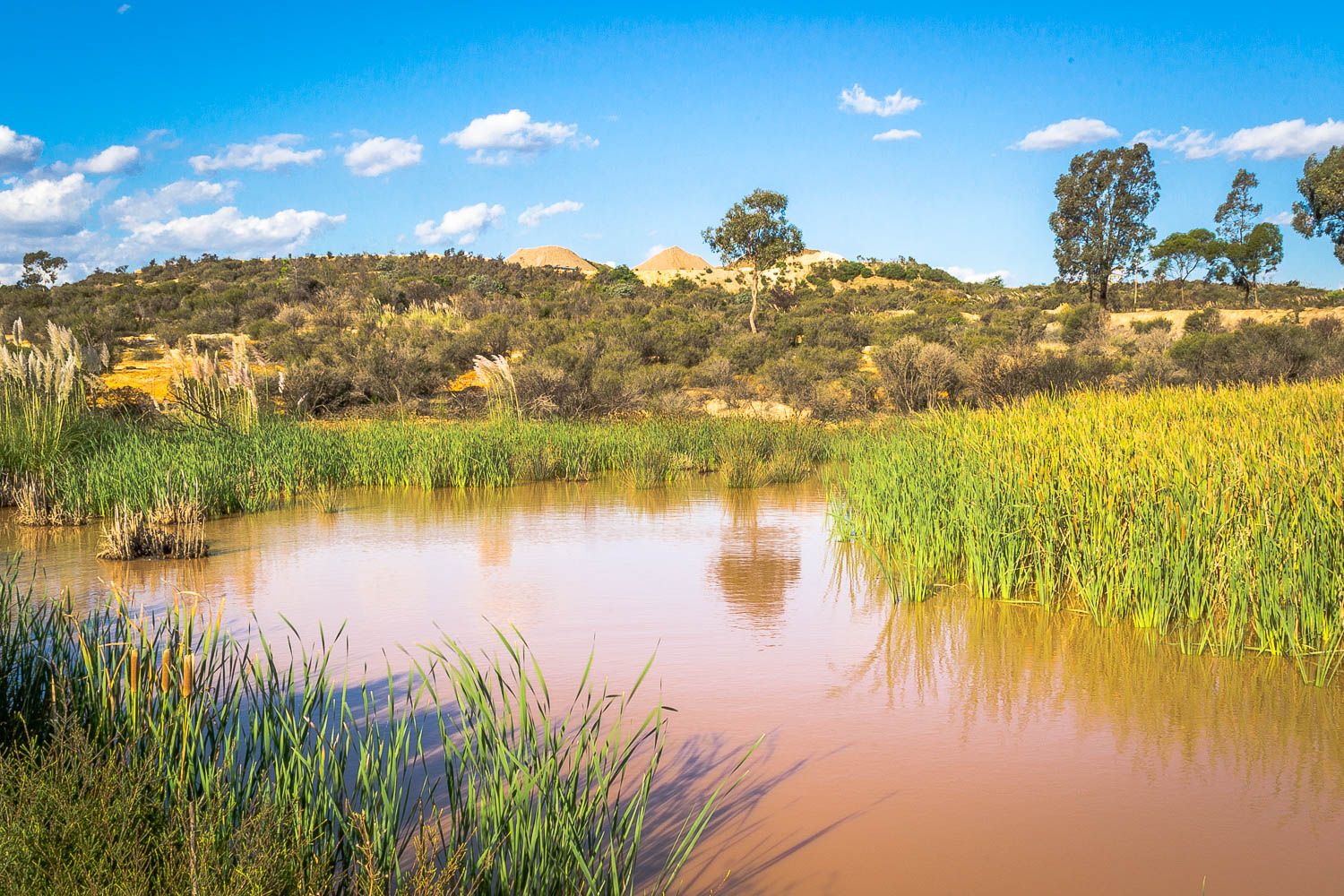 White Hills Sediments Geological Reserve Goldfields Guide