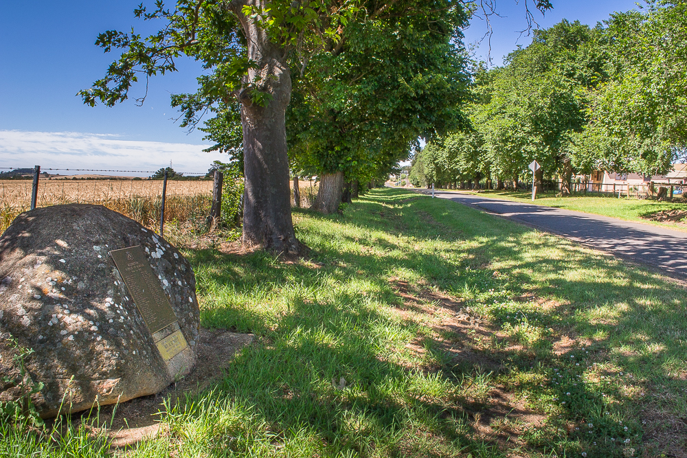 Addington Avenue of Honour | Goldfields Guide