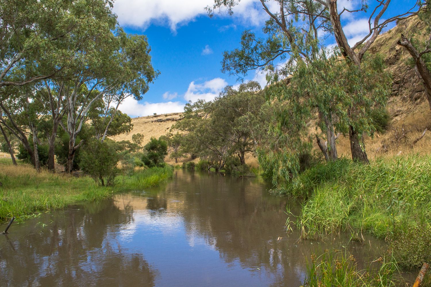Mount Cameron Goldfields Guide