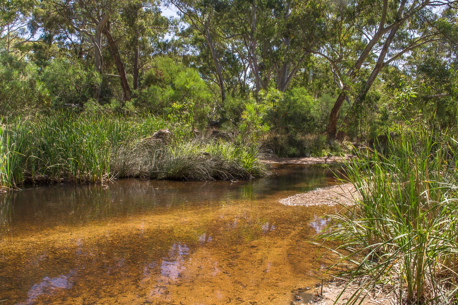 Happy Valley Crossing Streamside Reserve Goldfields Guide