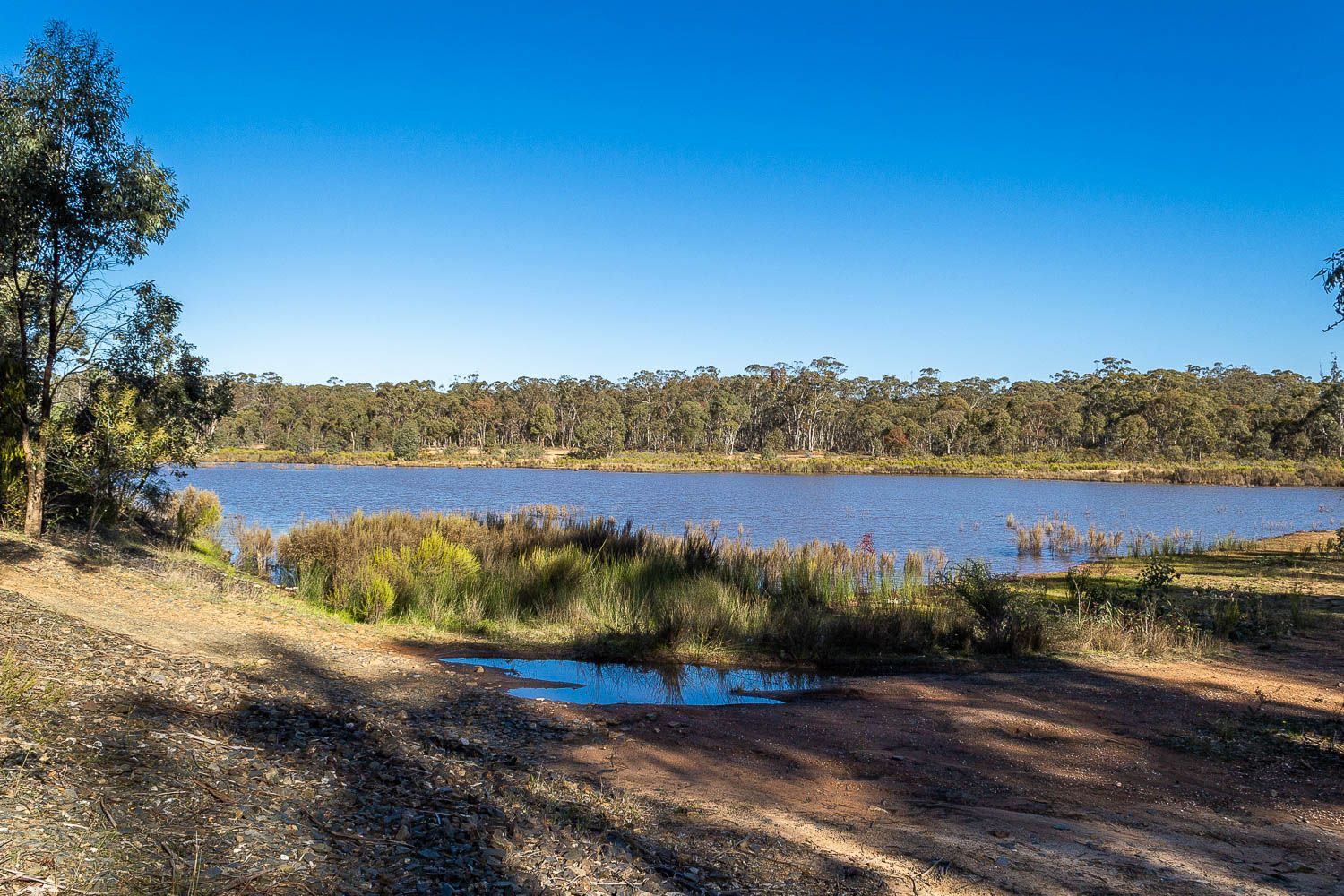 Carisbrook Reservoir Goldfields Guide