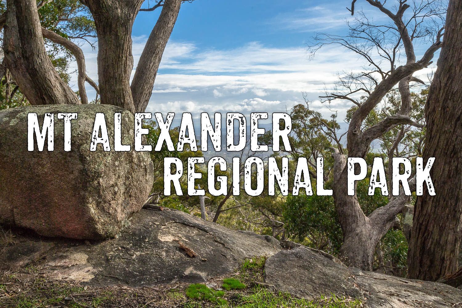 Mount Alexander Regional Park Goldfields Guide